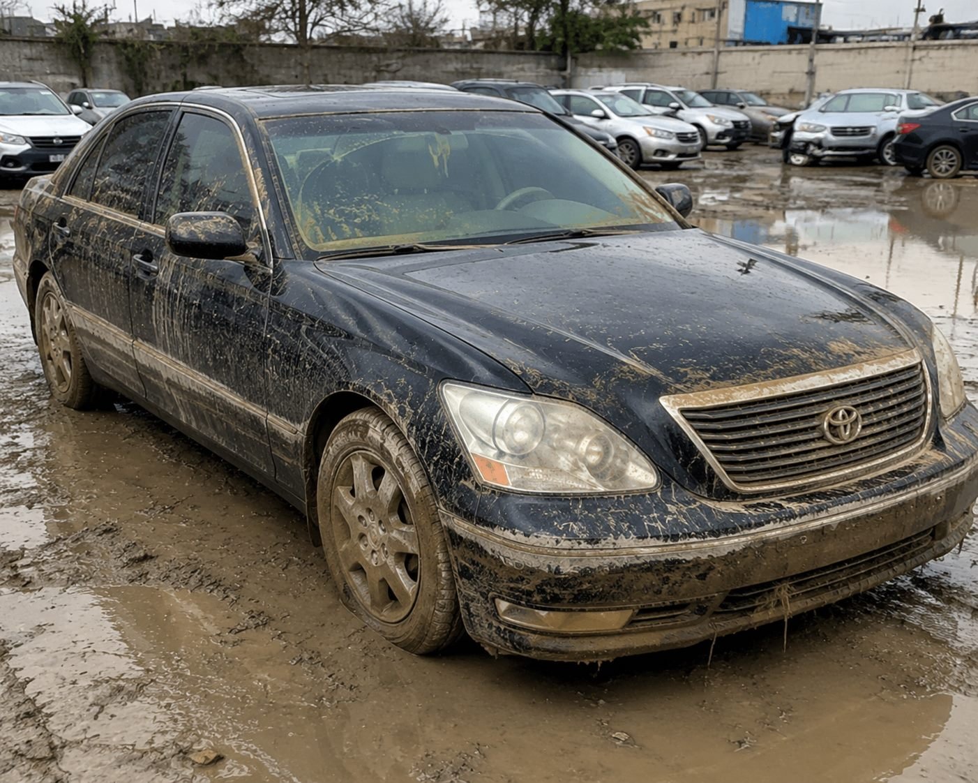 Flood damaged cars purchased by scrap car buyers in UAE